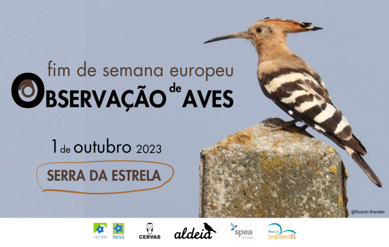 Fim de Semana Europeu de observação de aves