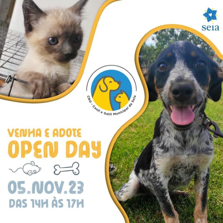Open Day no Canil Municipal de Seia