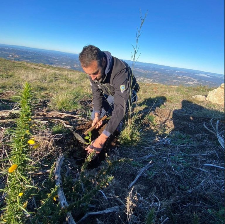 Rali Dakar 2024: Mário Patrão em ação de reflorestação. Piloto assegura sustentabilidade ambiental da sua participação desportiva.