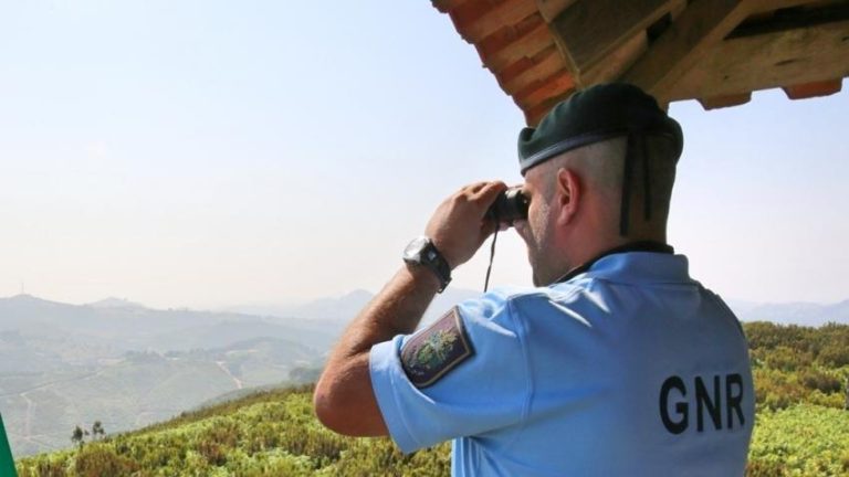 Floresta Segura 2024