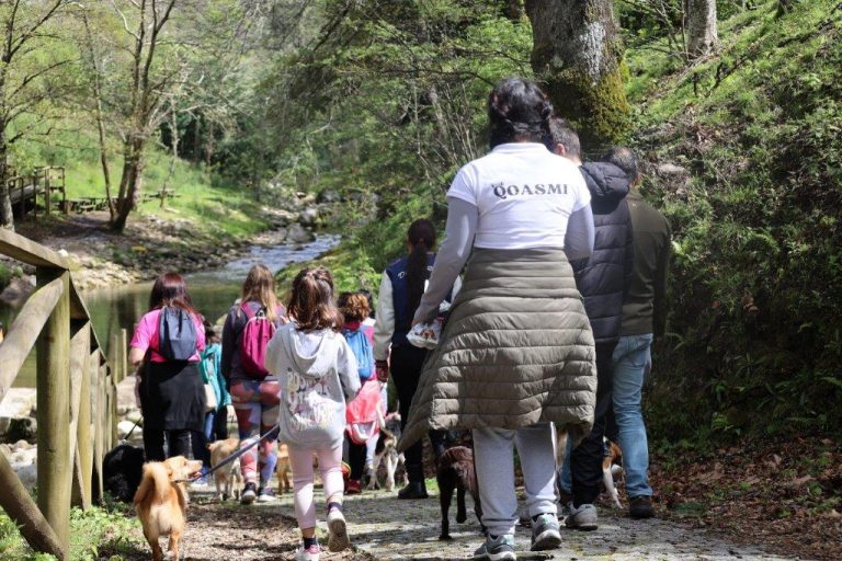 Município organiza Caniltrail na Senhora do Desterro