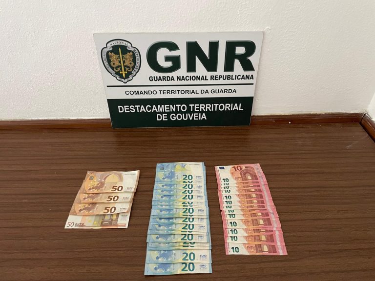Gouveia – Detida em flagrante por furto