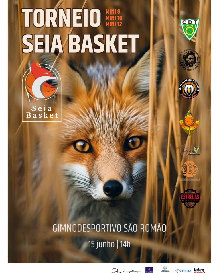 Gouveia – Recuperação de coruja-das-torres