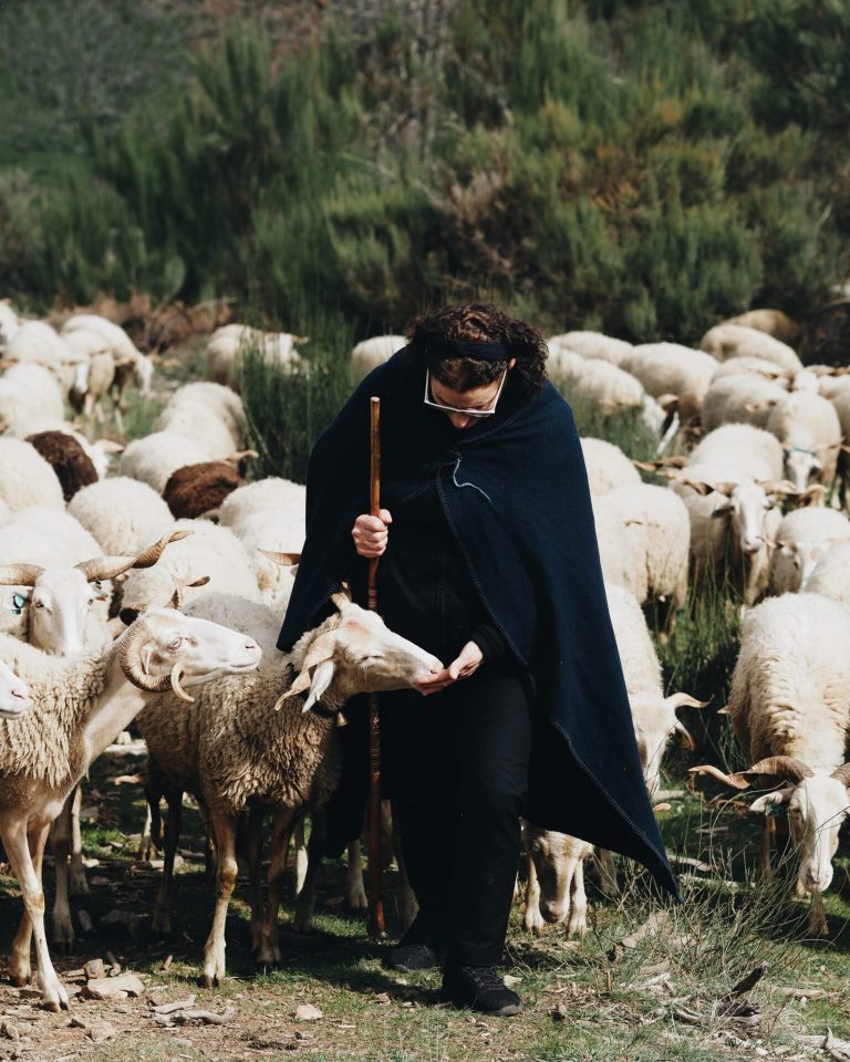 Concurso de ideias em homenagem às Mulheres Queijeiras da Serra da Estrela