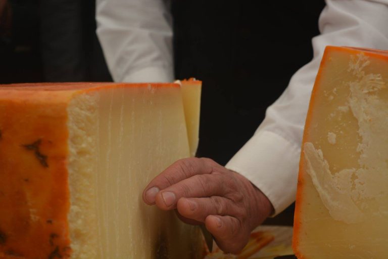 Seia celebra tradição e sabores na Feira do Queijo Serra da Estrela