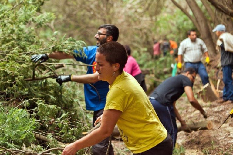 Veredas da Estrela promove fim de semana sobre ação comunitária e prevenção de incêndios