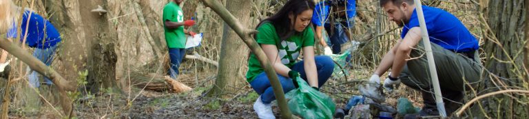 Seia vai receber voluntários jovens para a preservação da natureza e florestas