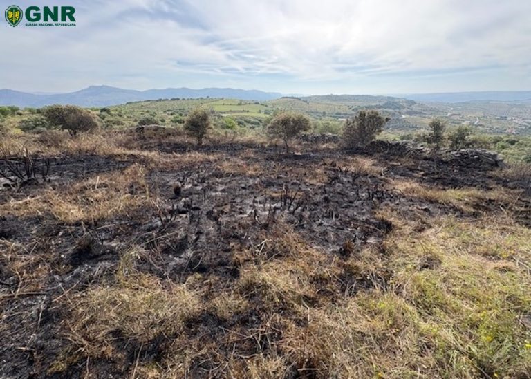 Vila Nova de Foz Côa – Detido por incêndio florestal