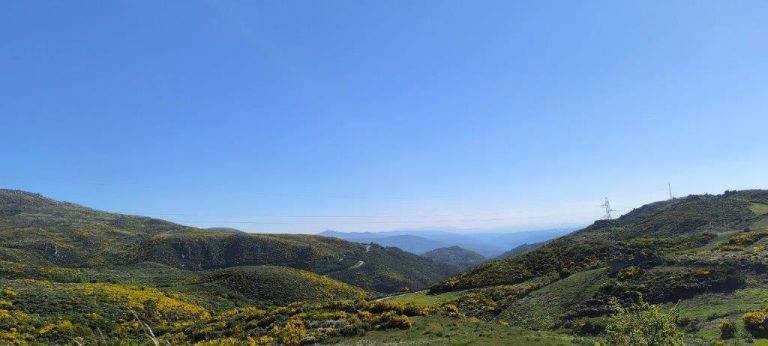 3 milhões de euros para proteção e conservação da natureza em áreas protegidas na região Centro
