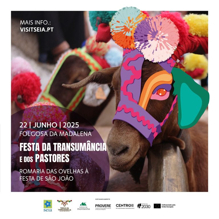 Folgosa da Madalena recebe amanhã a tradicional romaria das ovelhas na Festa de São João Baptista