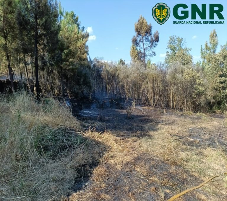 Fornos de Algodres – Detido por incêndio florestal
