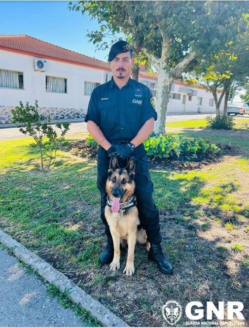 GNR assinala o Dia Mundial do Cão