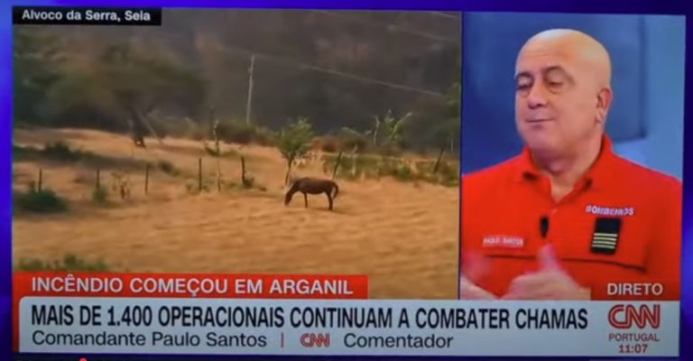Incêndio no concelho de Seia: a explicação pelo comandante Paulo Santos à CNN