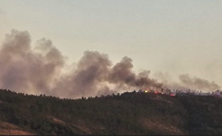 Município de Seia inicia distribuição de alimentação para animais afetados pelo incêndio