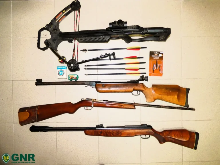 Gouveia – Pulseira eletrónica por violência doméstica