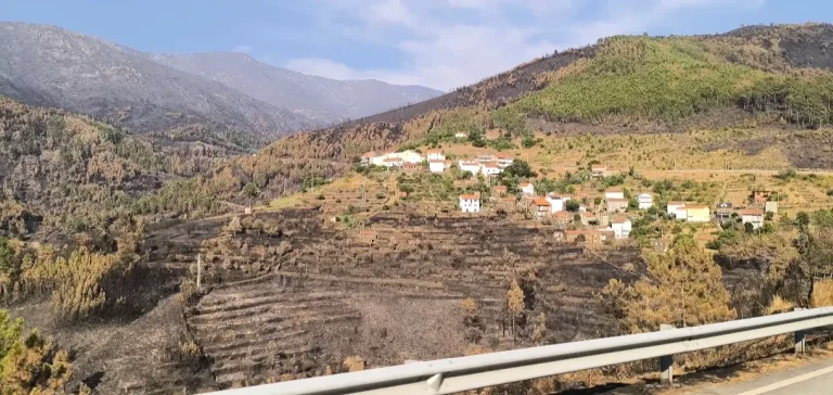 Município de Seia disponibiliza medidas excecionais de apoio à reconstrução pós-incêndios 2025
