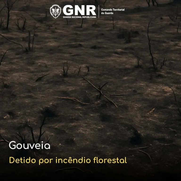 Gouveia – Detido por incêndio florestal