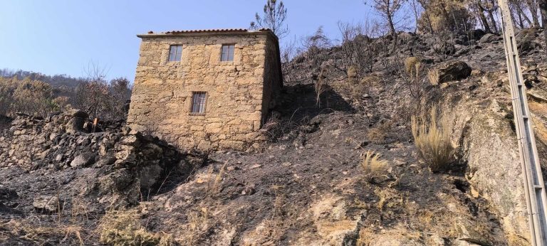 Autarcas da região das Beiras e Serra da Estrela e de Dão-Lafões querem celeridade na concretização dos projetos de estabilização das encostas ardidas e na proteção das linhas de água das cinzas deixadas pelos fogos