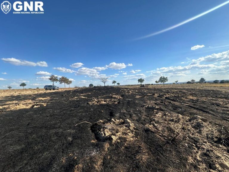 Figueira de Castelo Rodrigo – Detido por incêndio florestal