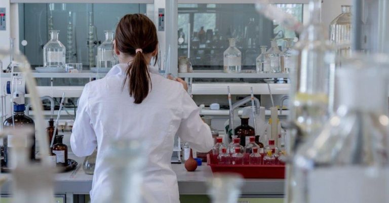 Cinco investigadores do Politécnico da Guarda entre os 2% mais citados do mundo