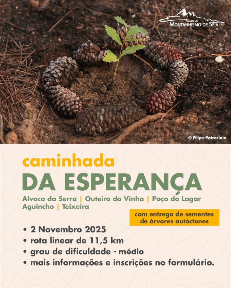 Caminhada da Esperança: Clube de Montanhismo de Seia une Pedestrianismo e Reflorestação Pós-Incêndio