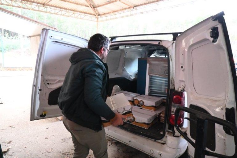 Município de Oliveira do Hospital apoia apicultores com cinco toneladas de alimento para abelhas
