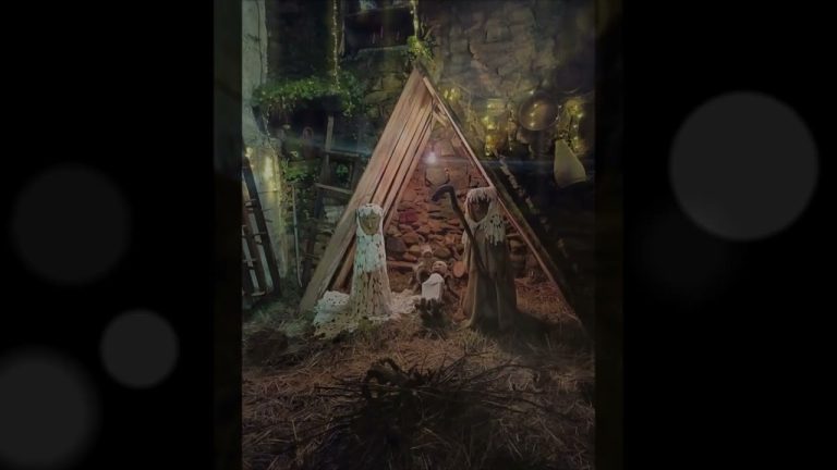 Festa dos Pobres: em Carragozela o Natal vive-se em união e partilha