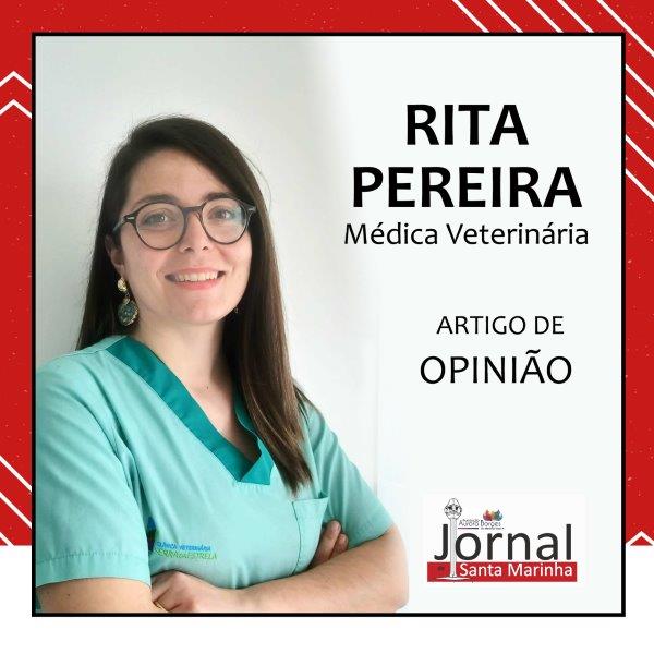 Quando o céu faz barulho: A trovoada, o inimigo dos animais