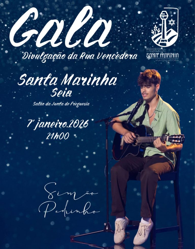 Santa Marinha e Eirô celebram encerramento da Vila Natal com Gala de Prémios