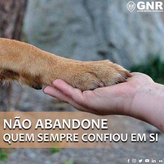 Homem condenado a 130 horas de trabalho a favor da comunidade após abandonar cão em jangada improvisada na Barragem do Caldeirão  