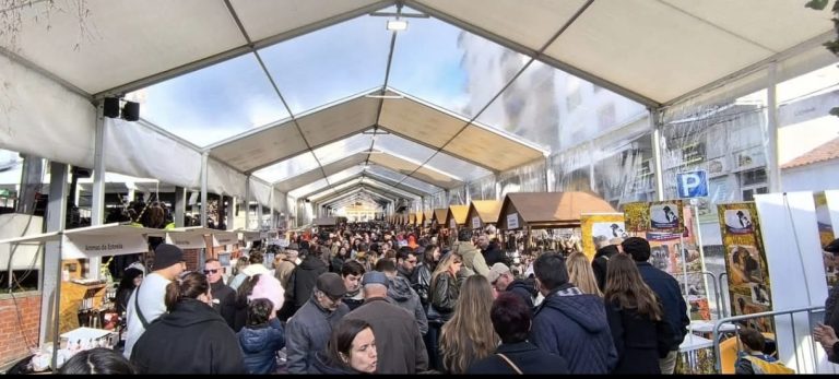 Feira do Queijo Serra da Estrela afirma Seia como maior produtor de queijo de ovelha