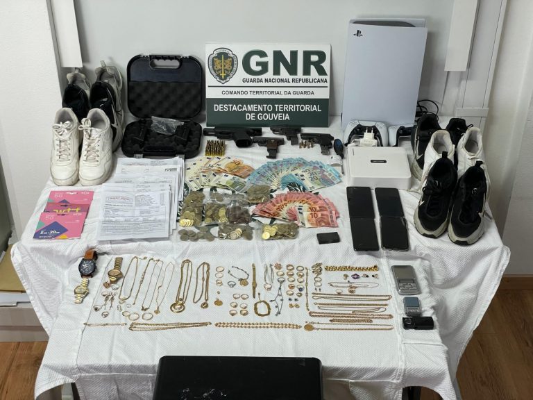 Desmantelada rede de furtos – Seis condenados a penas de até 13 anos de prisão