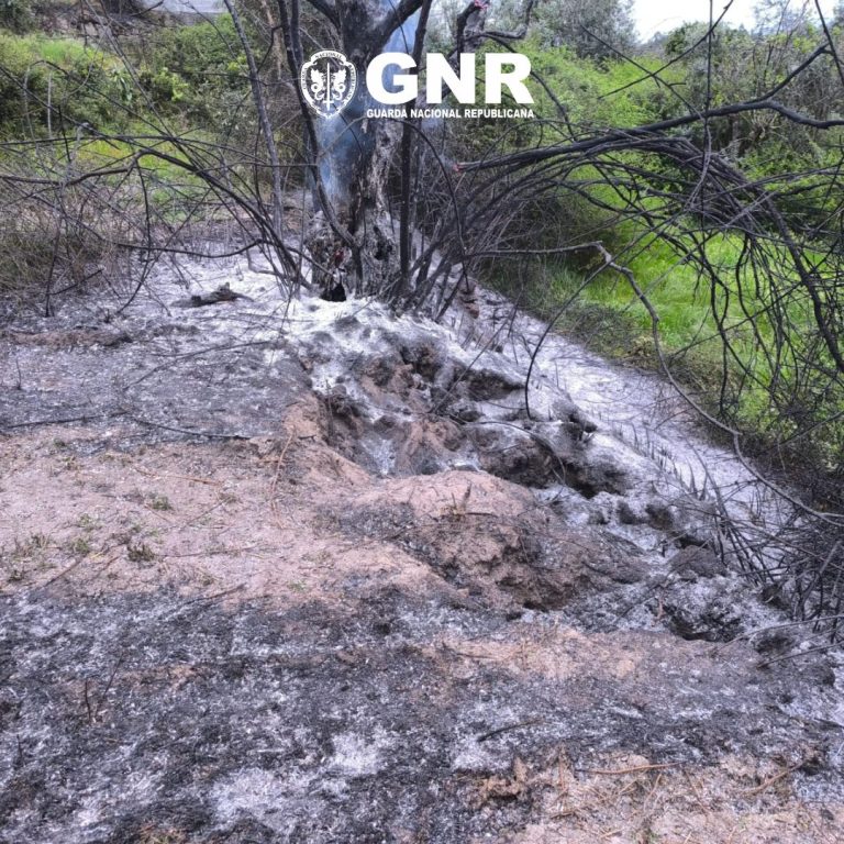 Gouveia – Detido por incêndio Florestal