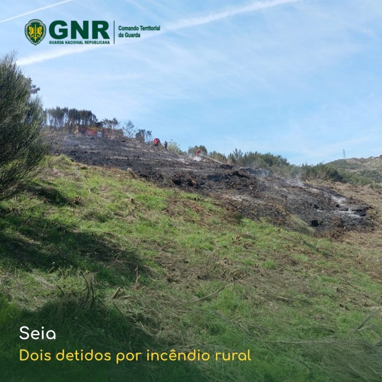 Seia – Dois detidos por incêndio rural