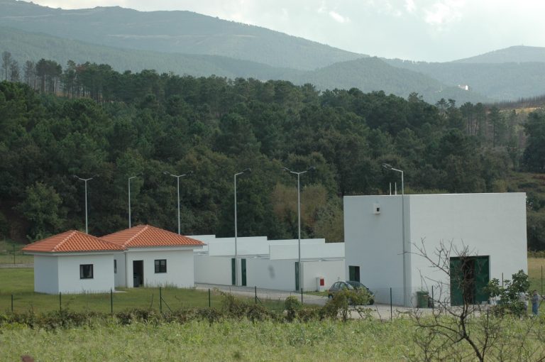 Centro de Recolha Oficial de Seia triplica esterilizações em dois anos