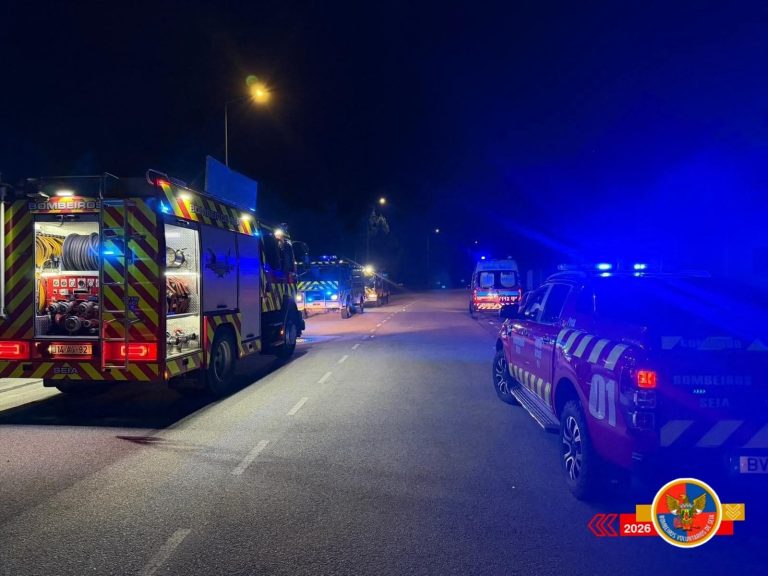 Incêndio em forno na Fábrica do Museu do Pão, na Vila Chã (Seia) mobiliza 18 operacionais mas não causou feridos