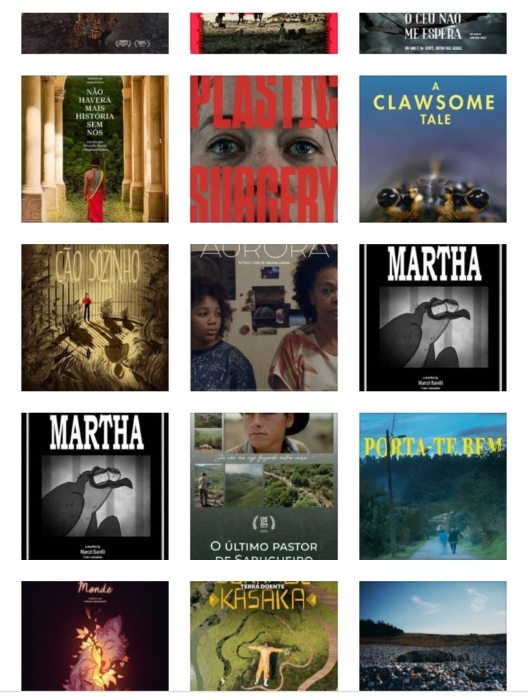 Ecos de Seia – filmes vencedores do CineEco regressam “a casa”