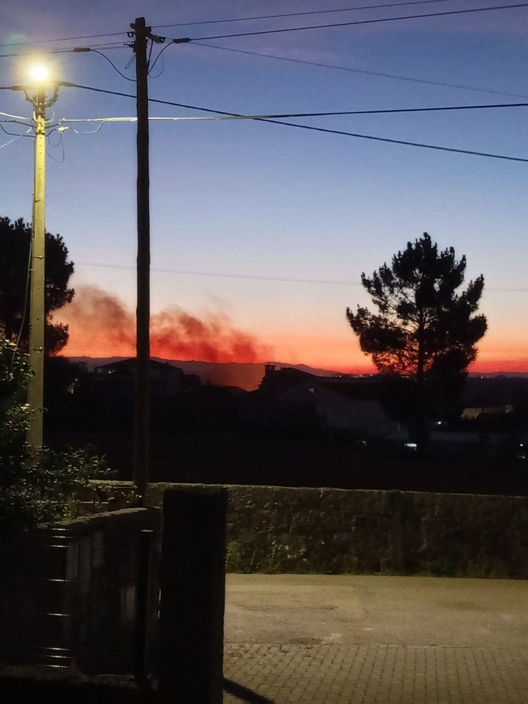 Incêndio florestal em Paranhos da Beira mobilizou 30 operacionais e 8 viaturas