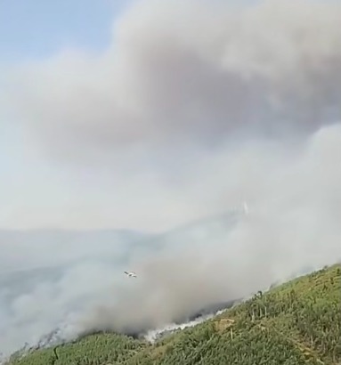 Aguiar da Beira – Detido por incêndio florestal