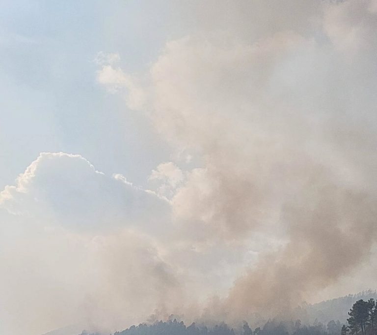 Trancoso – Detido por incêndio florestal