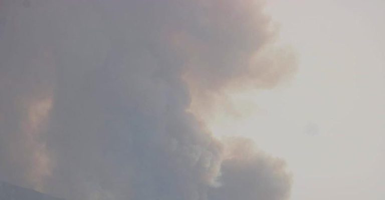 Seia – Detido por incêndio florestal