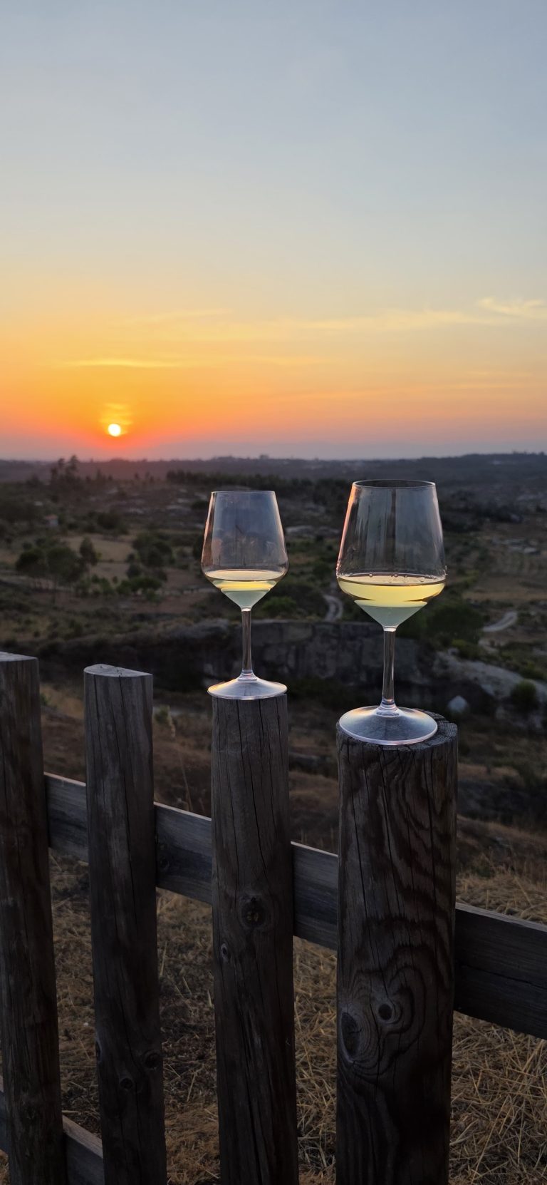 Sol, estrelas, vinhos e gastronomia: sucesso da primeira edição abre caminho para o regresso do “Under the Falling Stars”