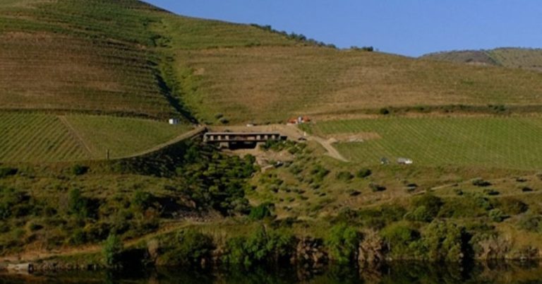 Universidade Politécnica da Guarda avança com curso de Enoturismo em Foz Côa