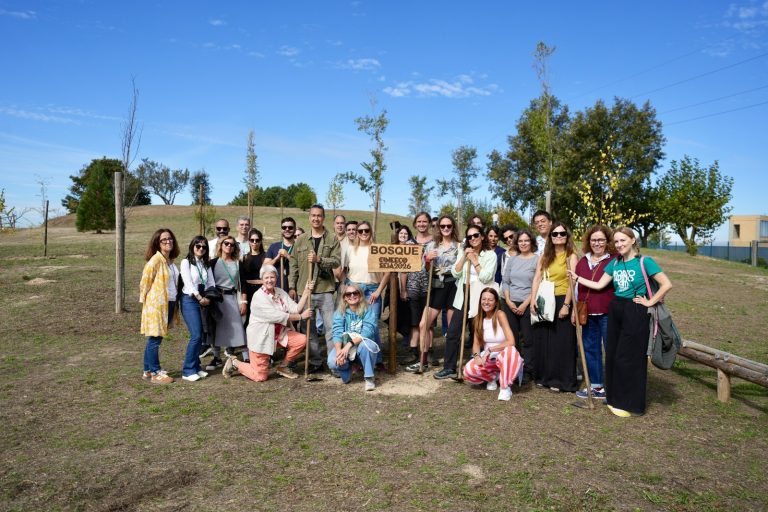 Bosque CineEco – Plantadas em Seia as primeiras árvores para auditório natural
